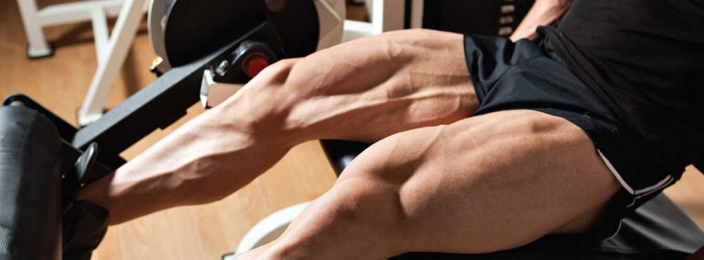 Top 5 Exercises to Build Monstrous Legs! Top 5 Exercises to Build Monstrous Legs!